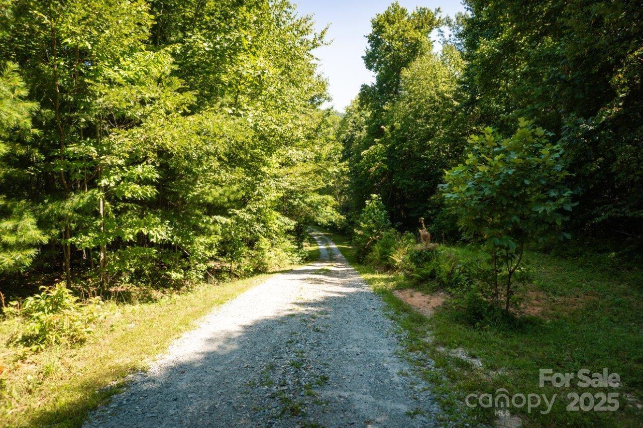 Tbd Flat Springs Road Elk Park NC 28622