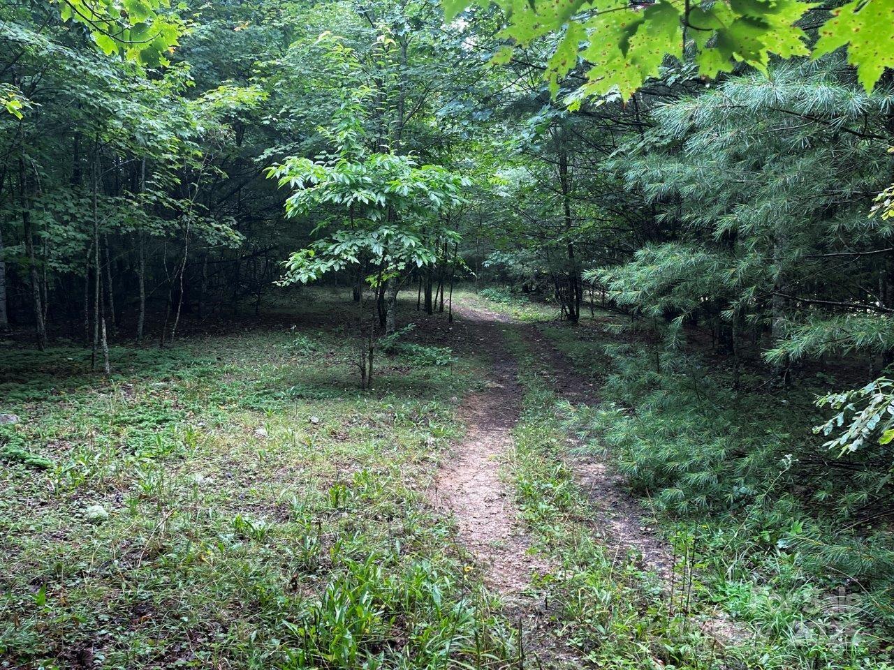 Tbd Flat Springs Road Elk Park NC 28622