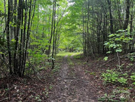 Tbd Flat Springs Road Elk Park NC 28622