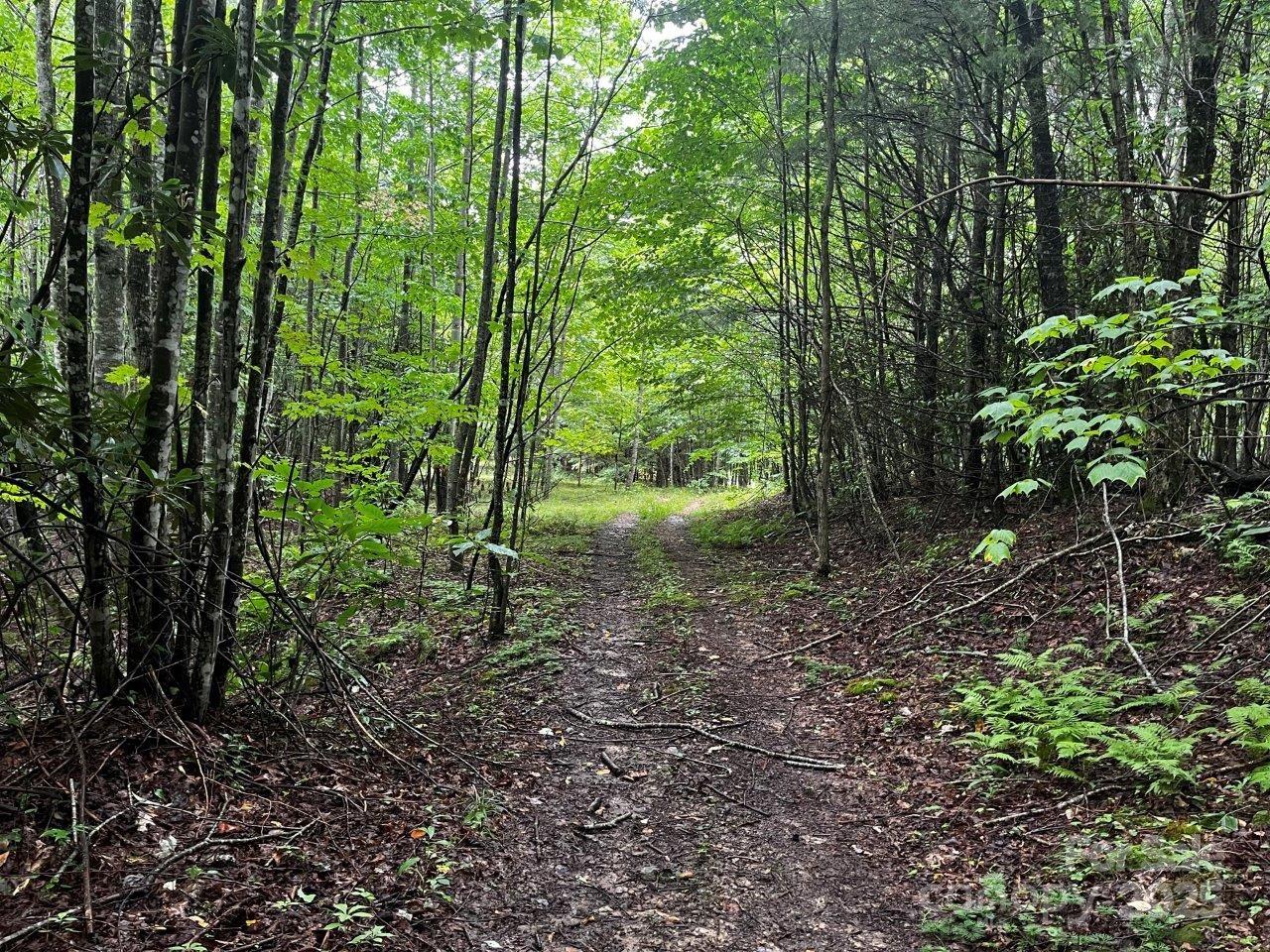 Tbd Flat Springs Road Elk Park NC 28622
