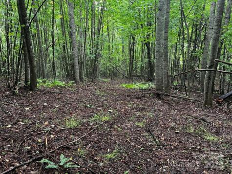 Tbd Flat Springs Road Elk Park NC 28622