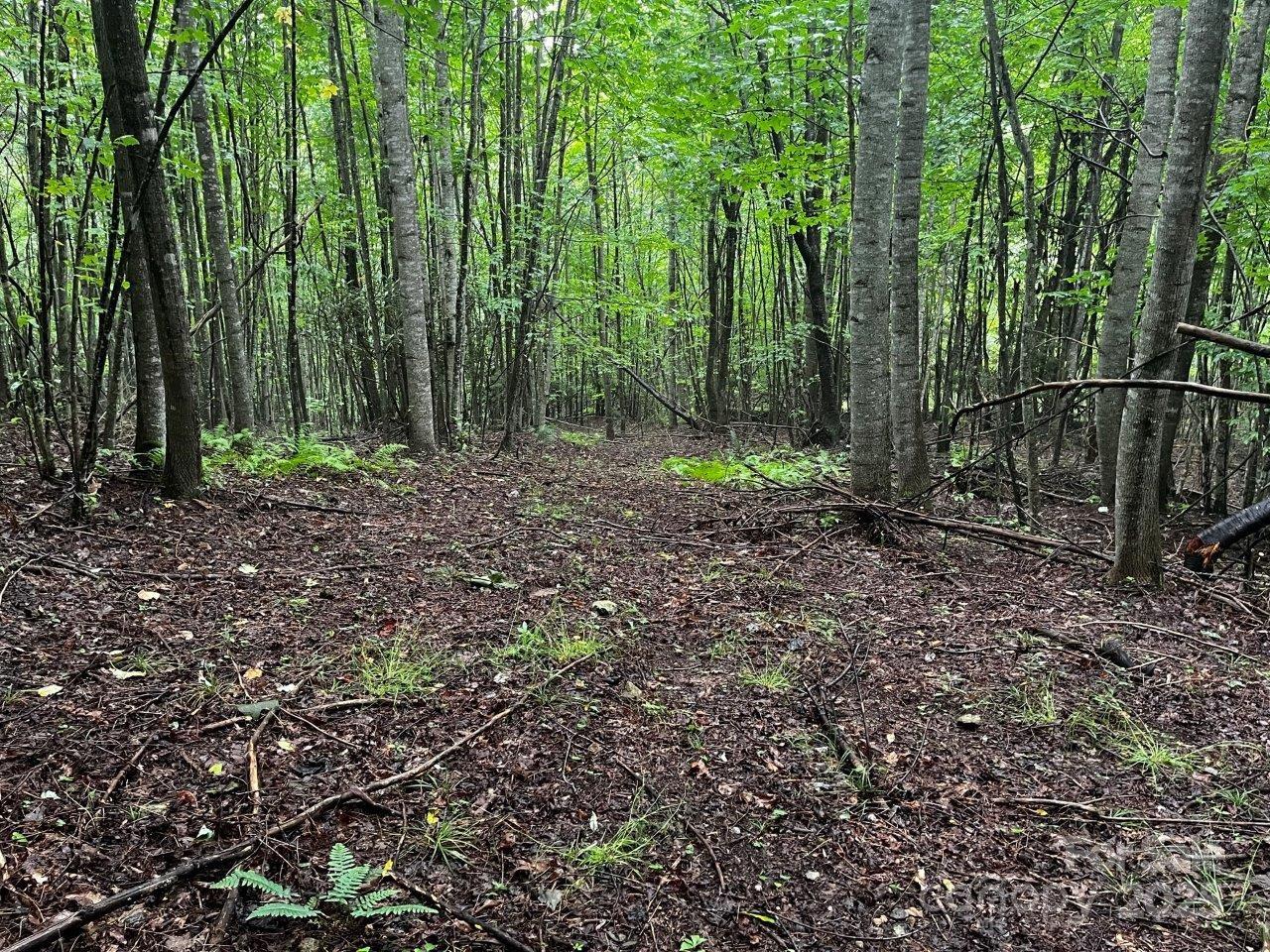 Tbd Flat Springs Road Elk Park NC 28622