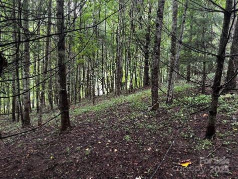 Tbd Flat Springs Road Elk Park NC 28622