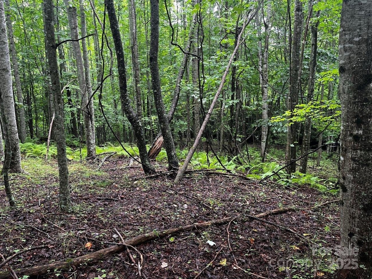 Tbd Flat Springs Road Elk Park NC 28622