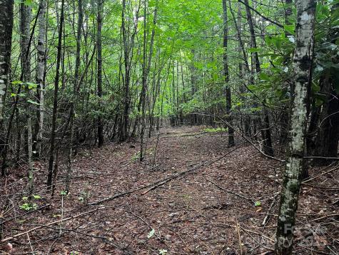 Tbd Flat Springs Road Elk Park NC 28622
