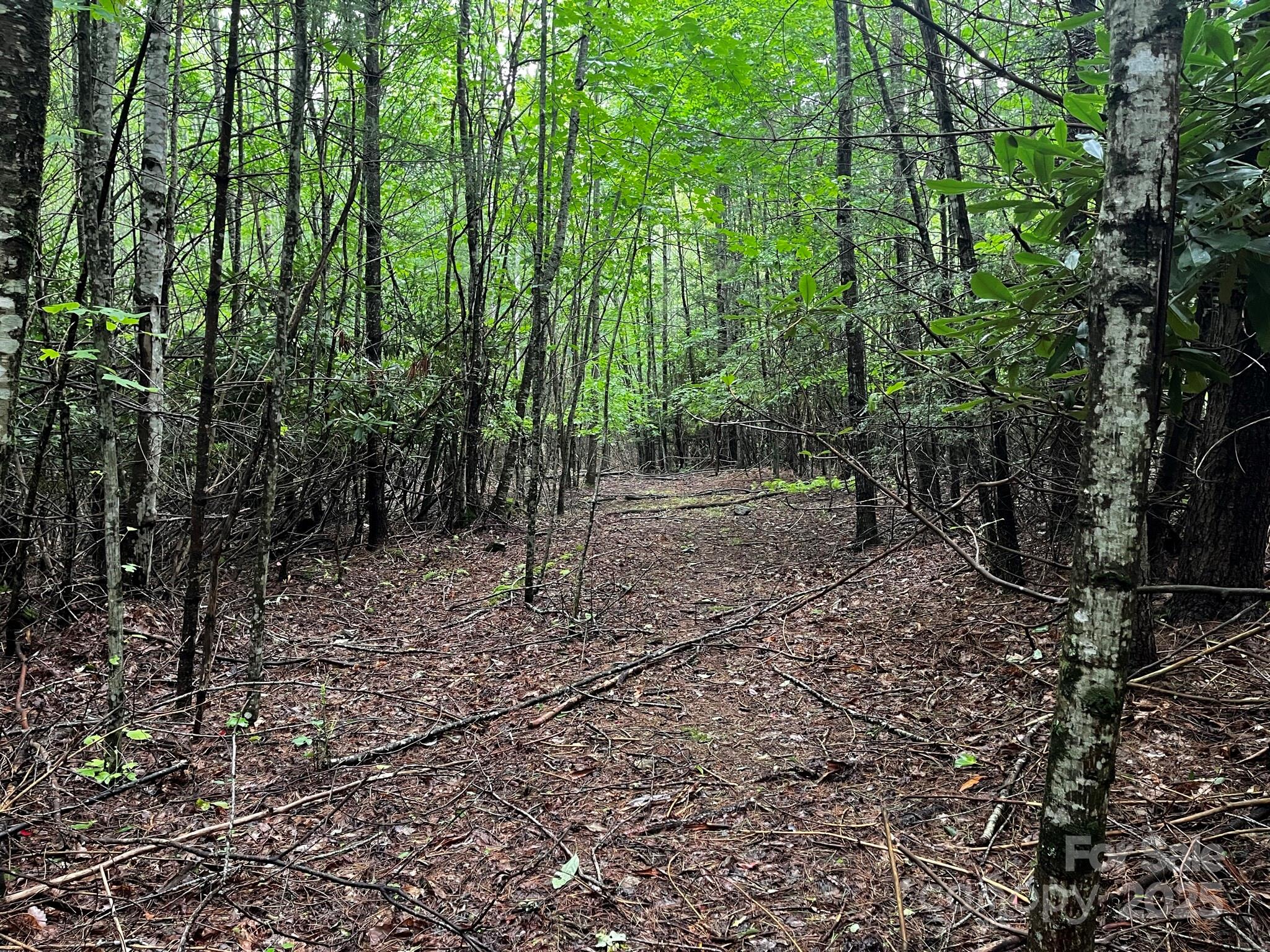 Tbd Flat Springs Road Elk Park NC 28622
