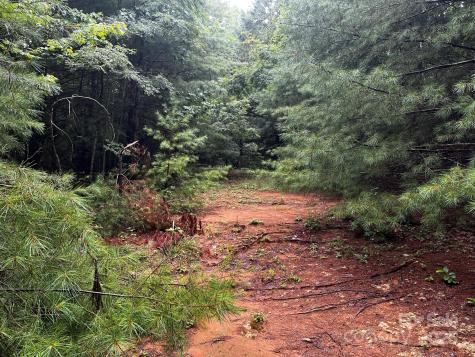 Tbd Flat Springs Road Elk Park NC 28622