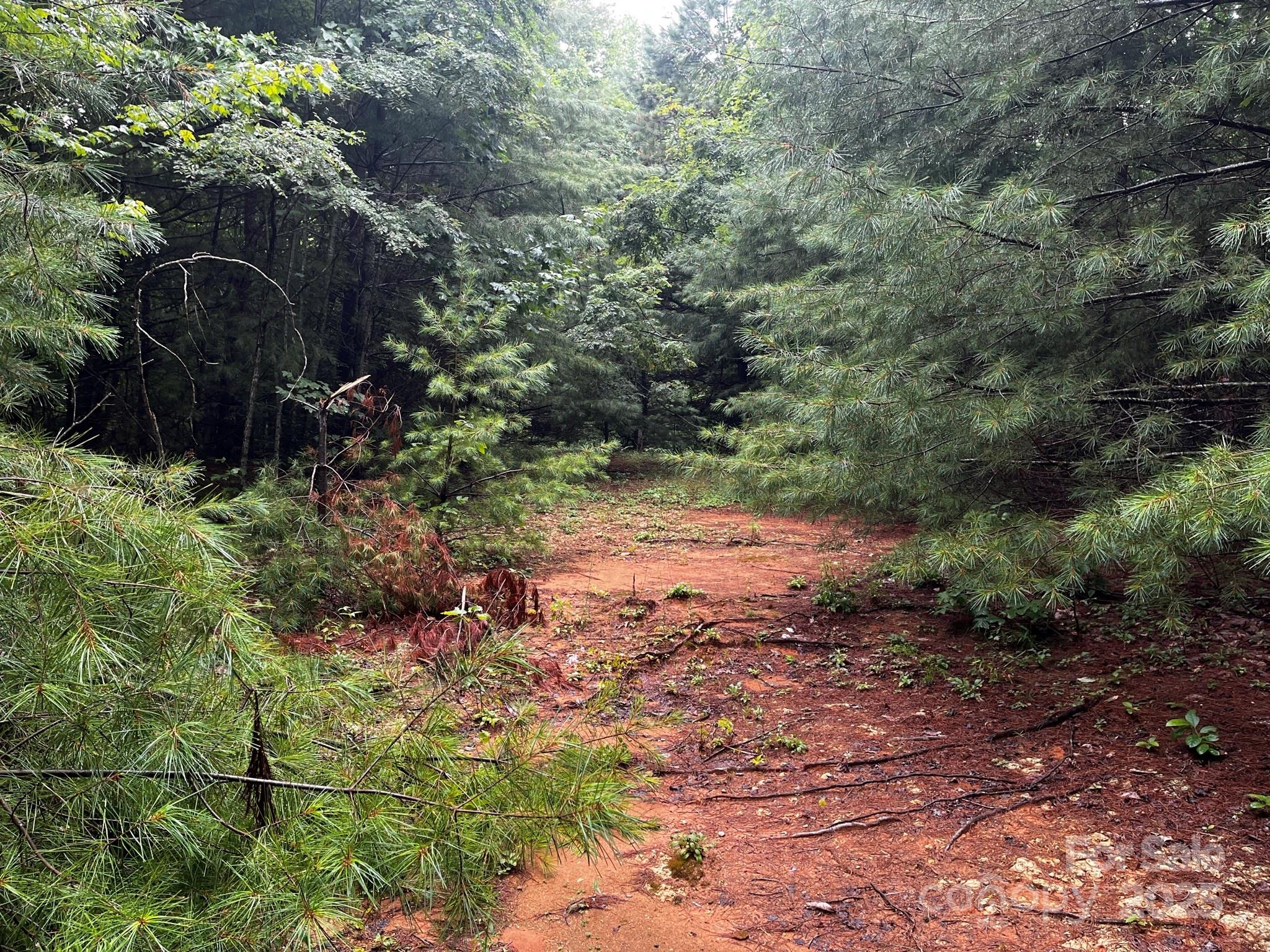 Tbd Flat Springs Road Elk Park NC 28622