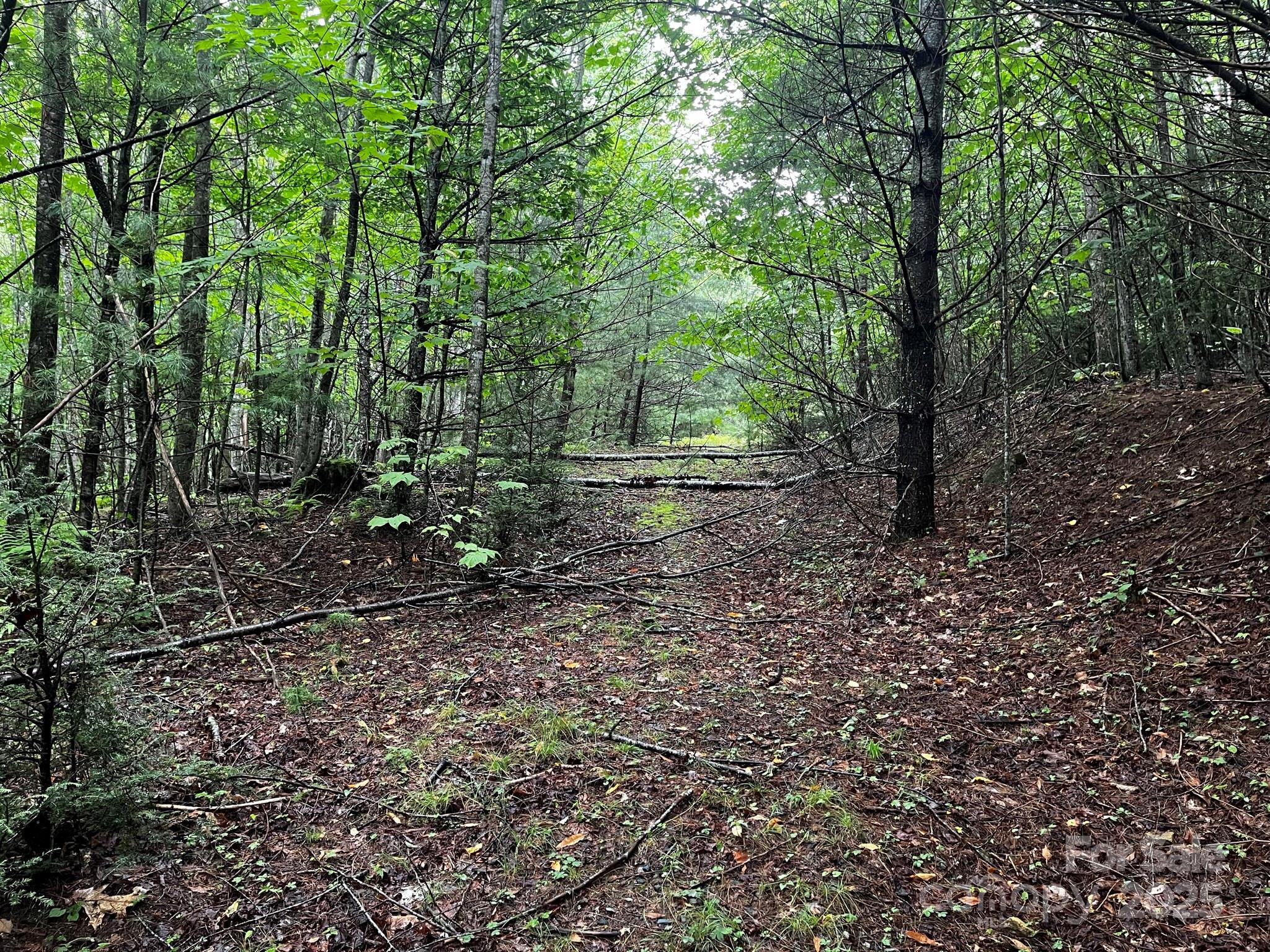 Tbd Flat Springs Road Elk Park NC 28622