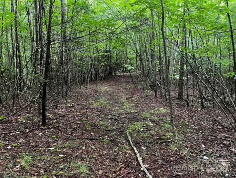 Tbd Flat Springs Road Elk Park NC 28622