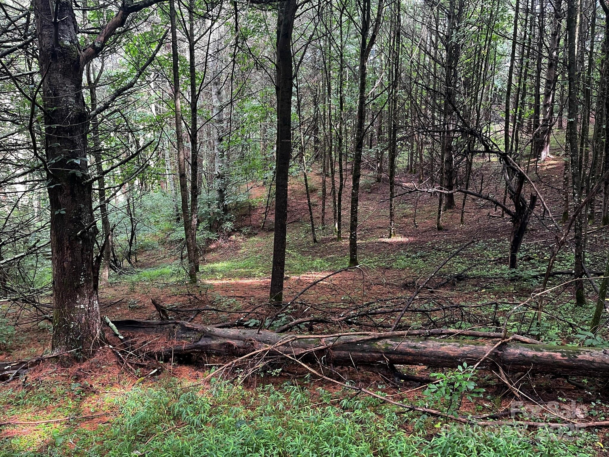 Tbd Flat Springs Road Elk Park NC 28622