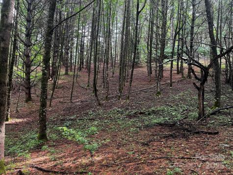 Tbd Flat Springs Road Elk Park NC 28622