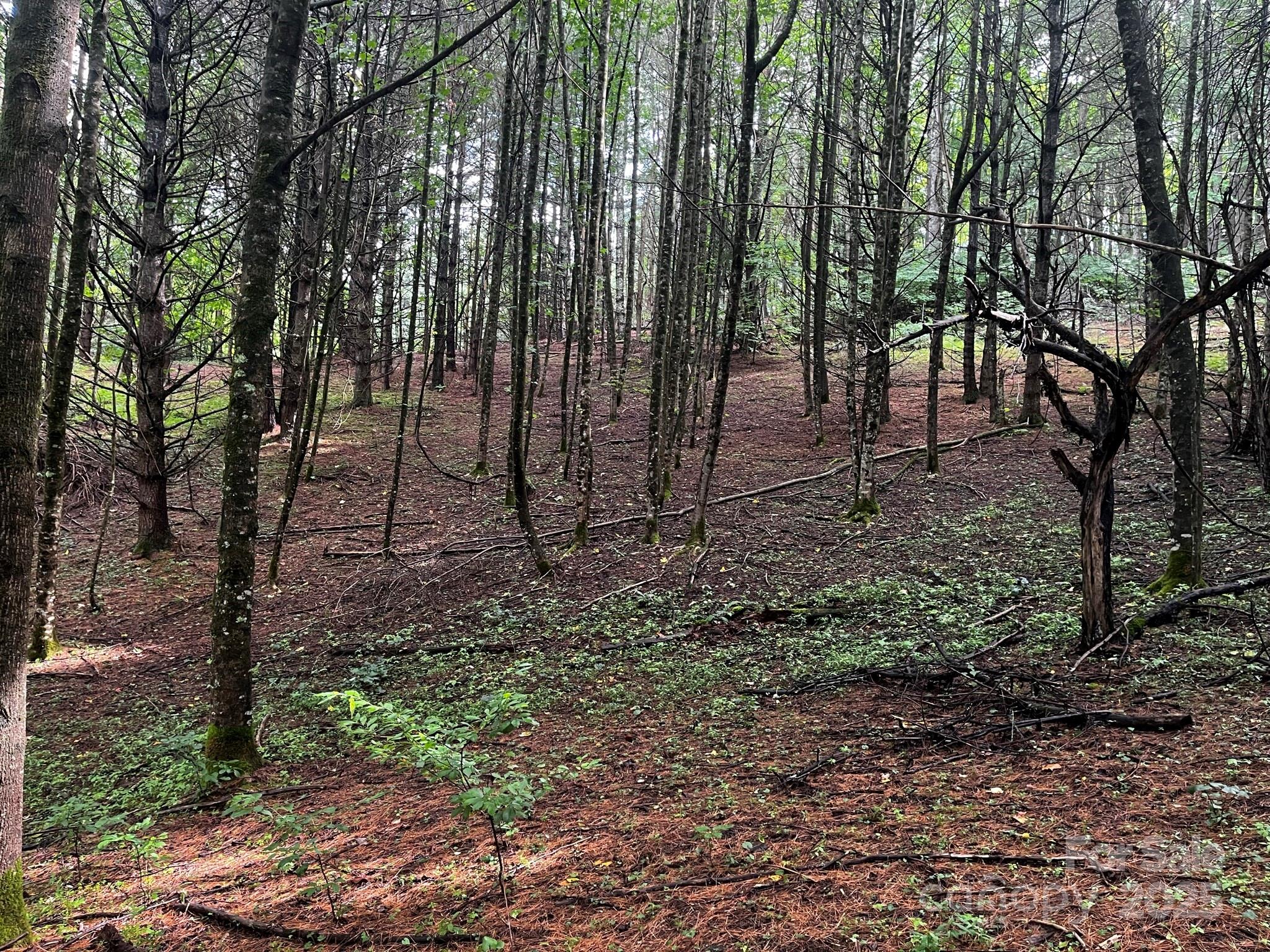Tbd Flat Springs Road Elk Park NC 28622