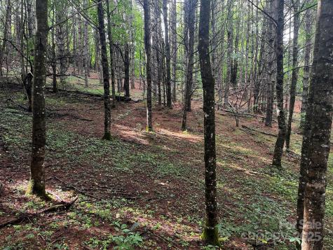 Tbd Flat Springs Road Elk Park NC 28622