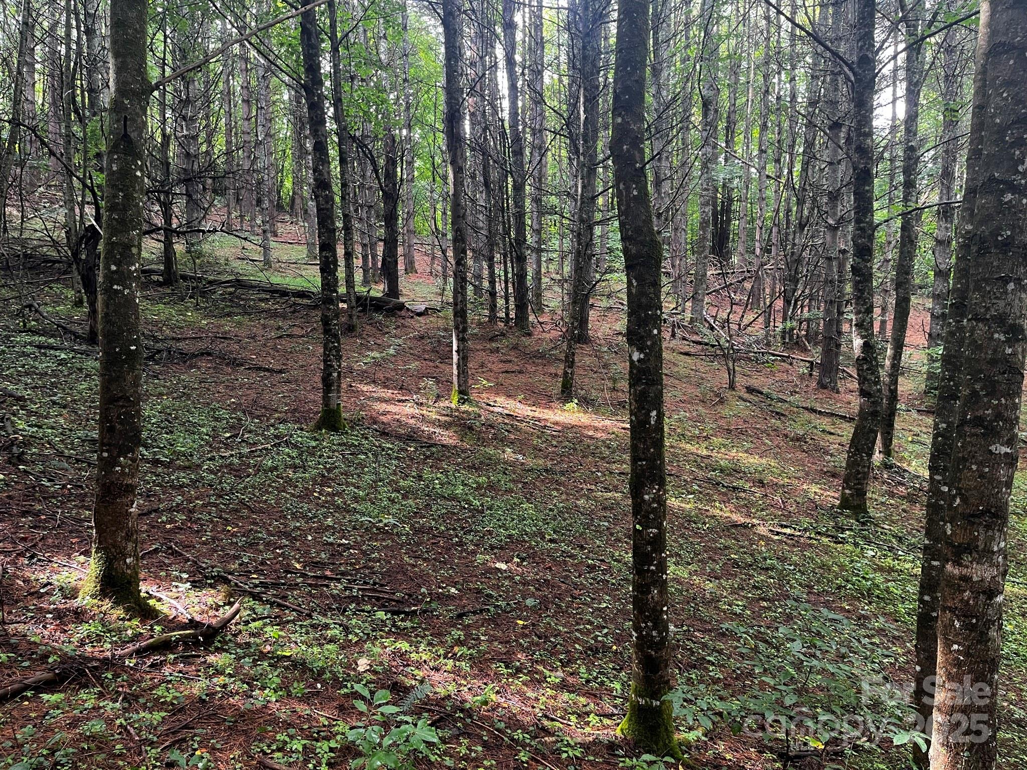 Tbd Flat Springs Road Elk Park NC 28622