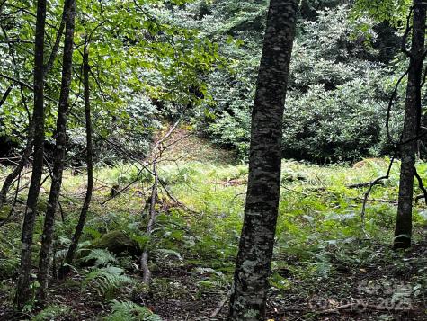 Tbd Flat Springs Road Elk Park NC 28622