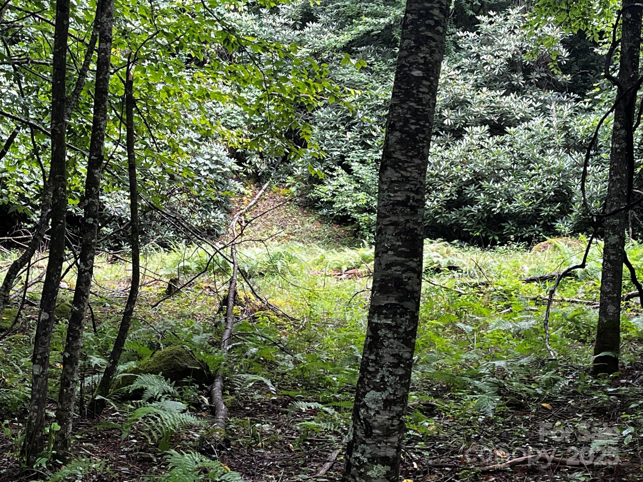 Tbd Flat Springs Road Elk Park NC 28622