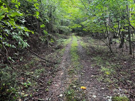 Tbd Flat Springs Road Elk Park NC 28622