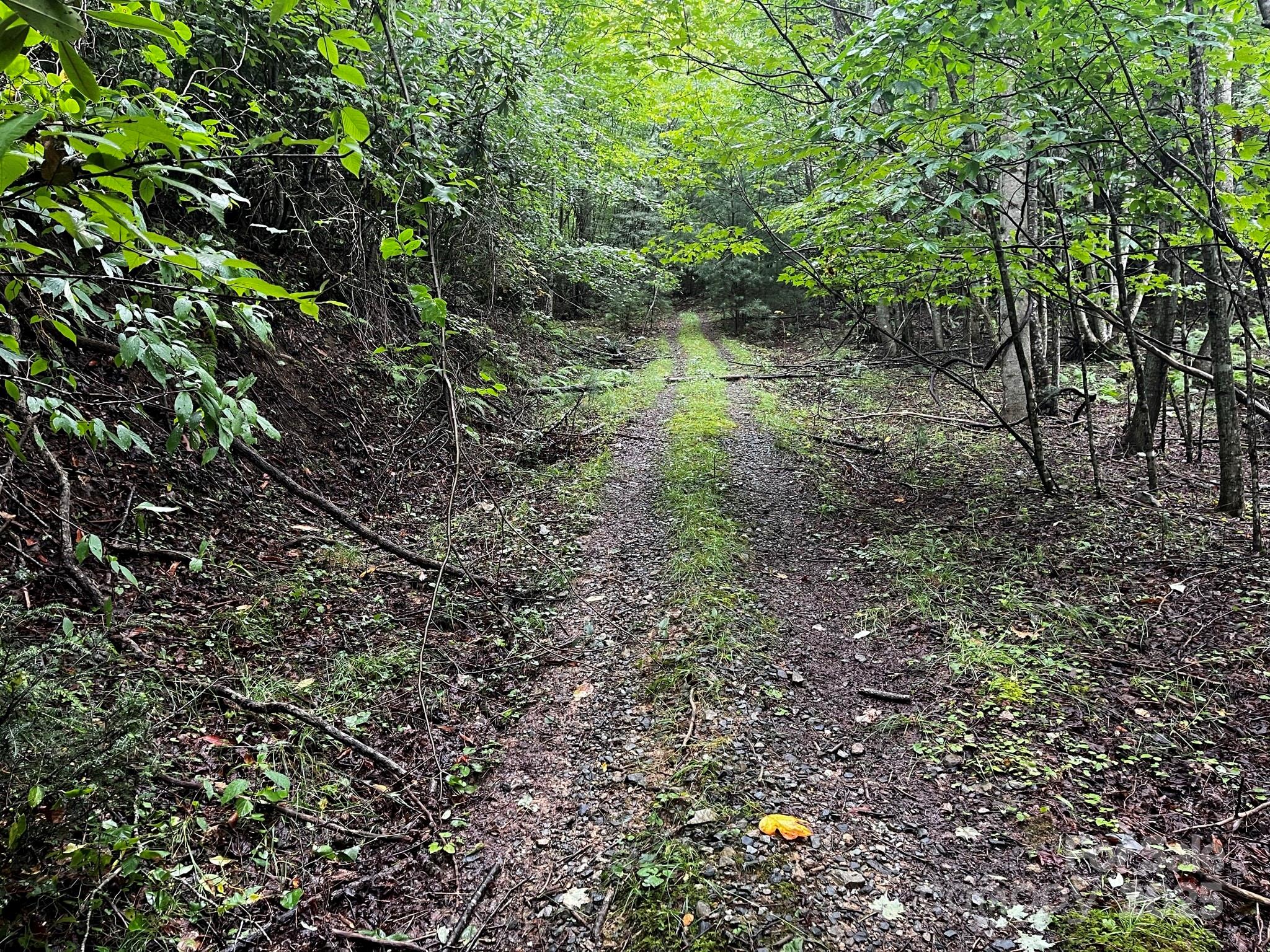 Tbd Flat Springs Road Elk Park NC 28622