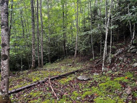 Tbd Flat Springs Road Elk Park NC 28622
