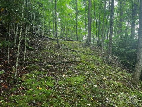 Tbd Flat Springs Road Elk Park NC 28622
