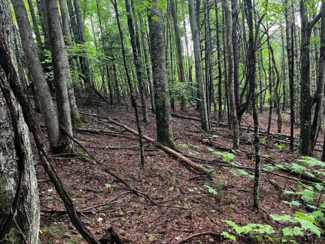 Tbd Flat Springs Road Elk Park NC 28622