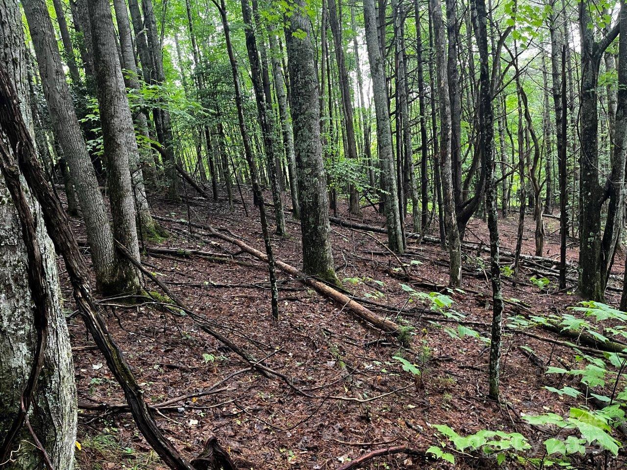 Tbd Flat Springs Road Elk Park NC 28622
