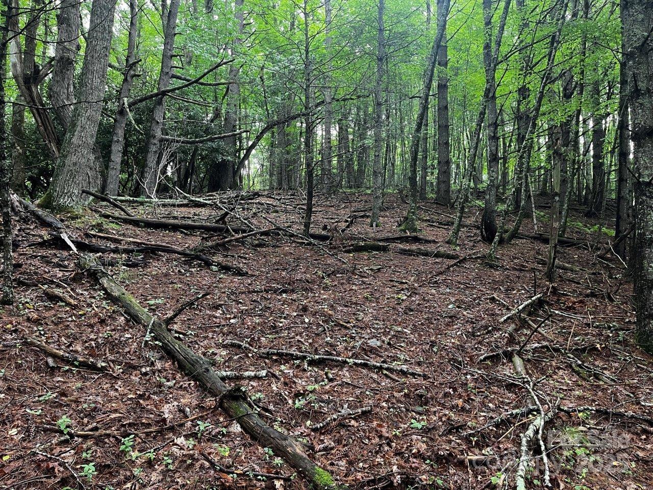 Tbd Flat Springs Road Elk Park NC 28622
