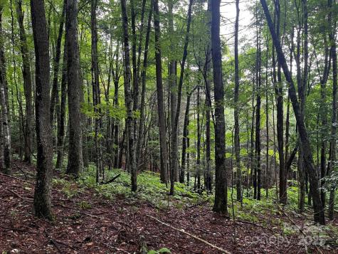 Tbd Flat Springs Road Elk Park NC 28622