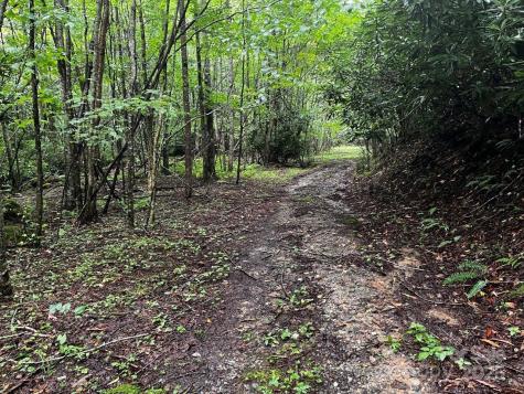 Tbd Flat Springs Road Elk Park NC 28622
