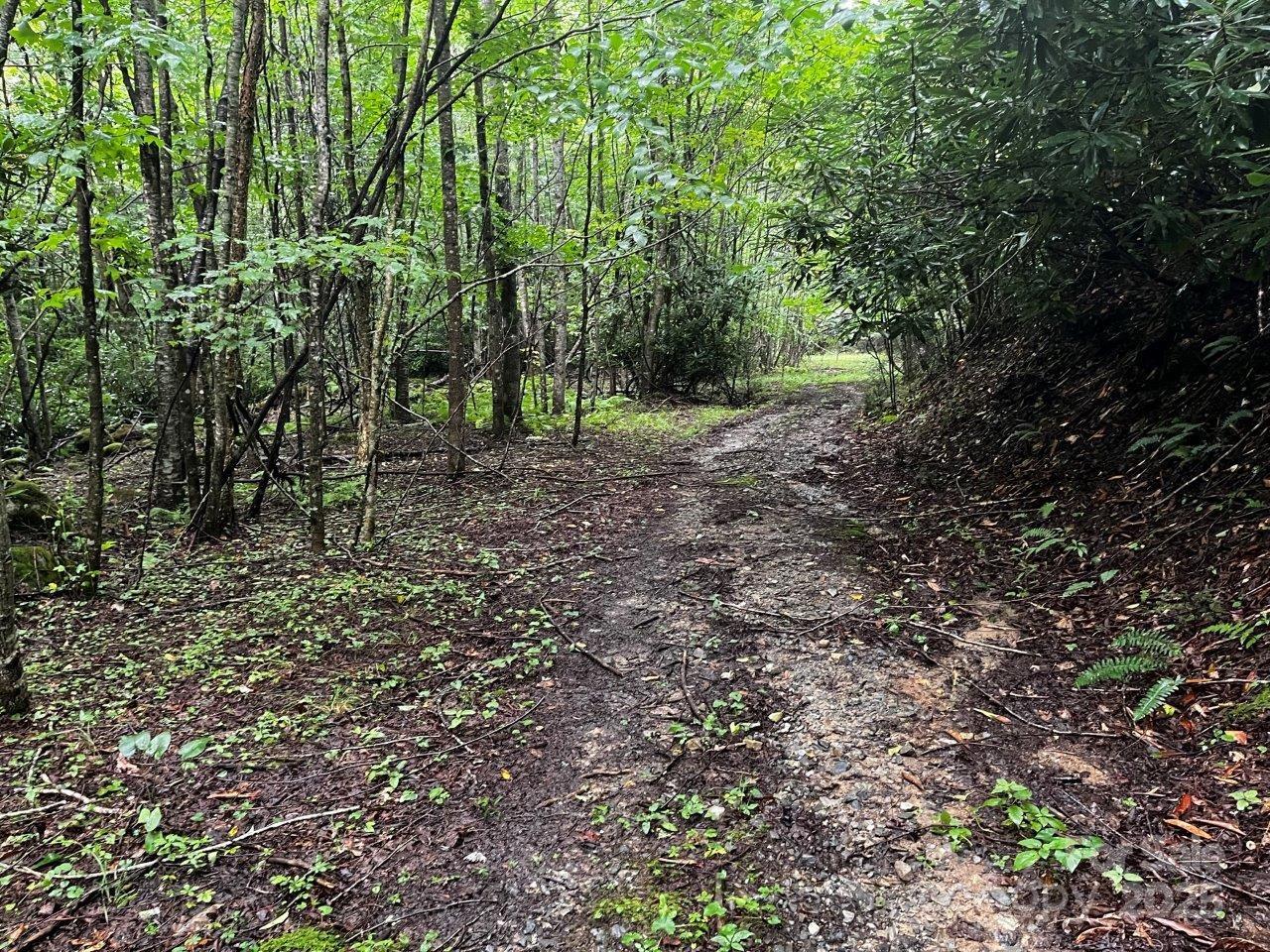 Tbd Flat Springs Road Elk Park NC 28622