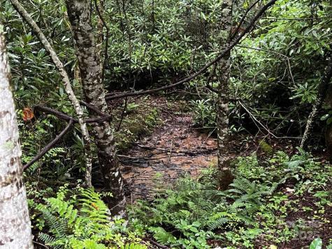 Tbd Flat Springs Road Elk Park NC 28622