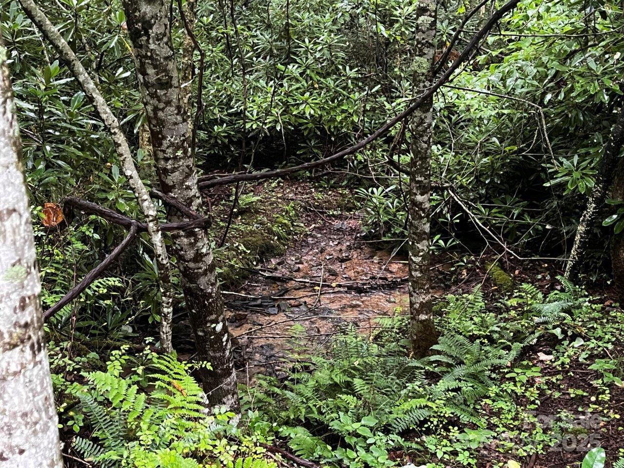 Tbd Flat Springs Road Elk Park NC 28622