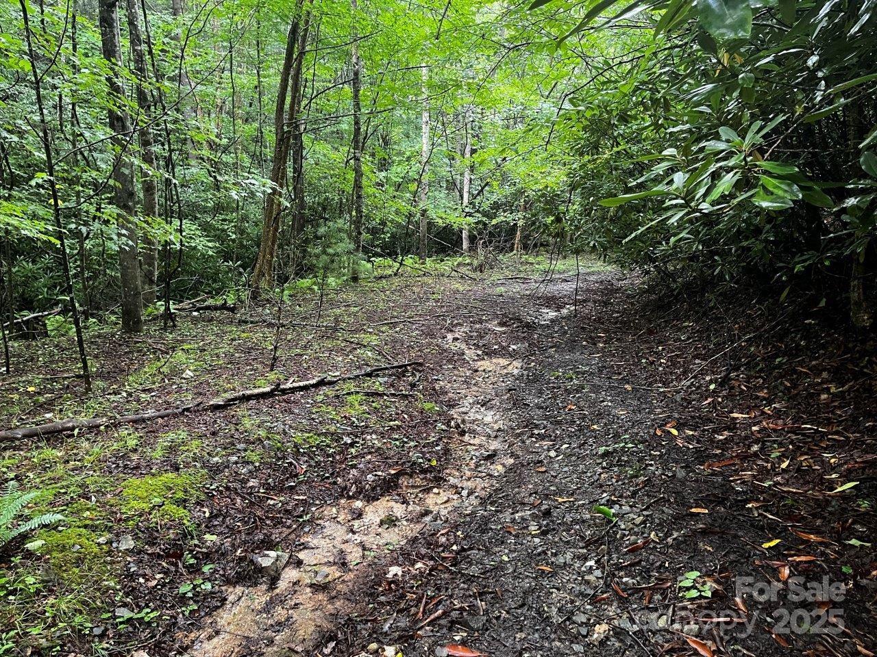 Tbd Flat Springs Road Elk Park NC 28622