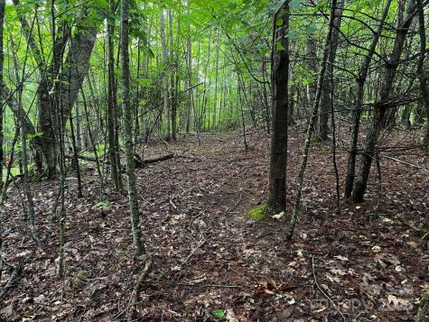 Tbd Flat Springs Road Elk Park NC 28622