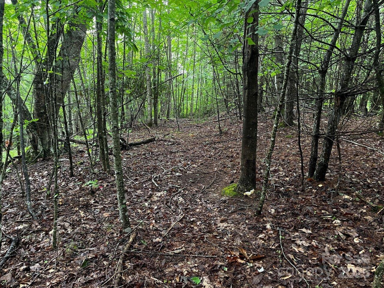 Tbd Flat Springs Road Elk Park NC 28622