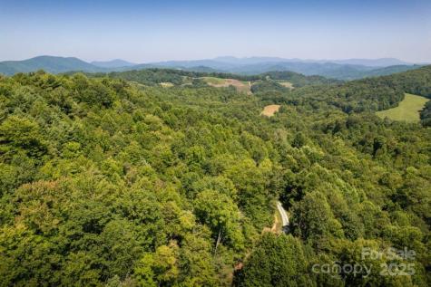 Tbd Flat Springs Road Elk Park NC 28622