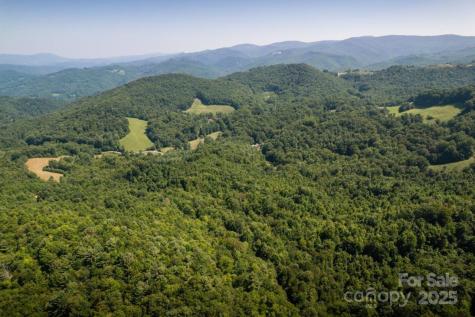 Tbd Flat Springs Road Elk Park NC 28622