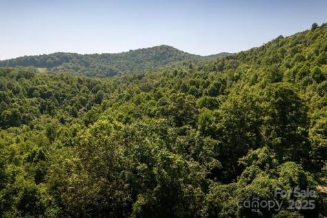 Tbd Flat Springs Road Elk Park NC 28622