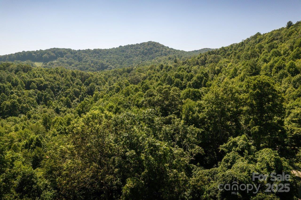 Tbd Flat Springs Road Elk Park NC 28622