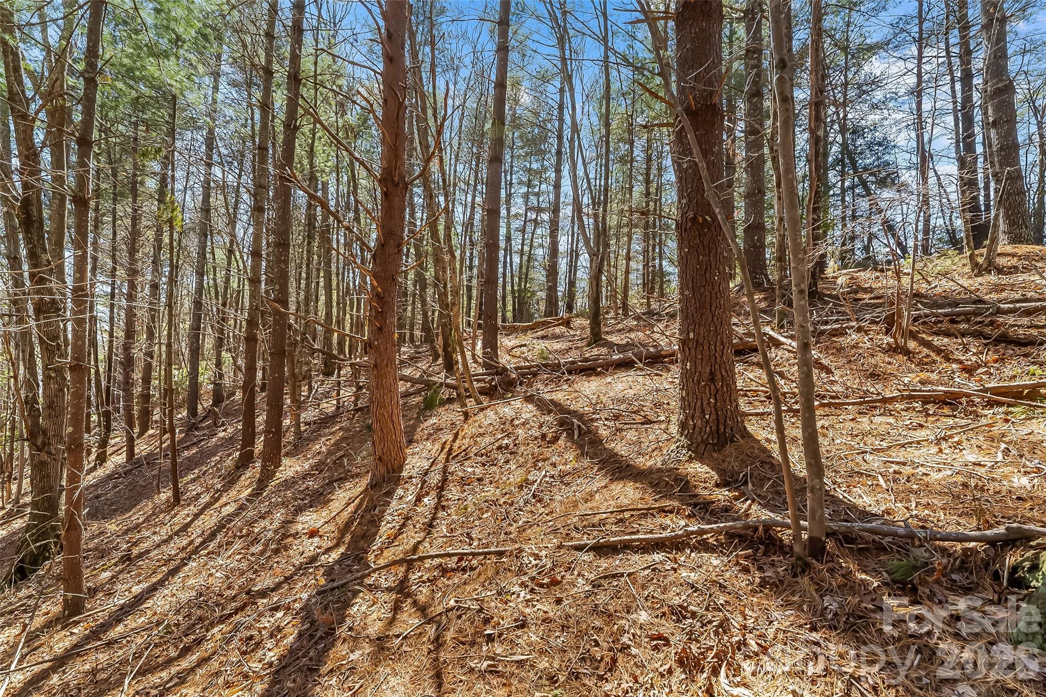 121 Lake Crest Drive Nebo NC 28761