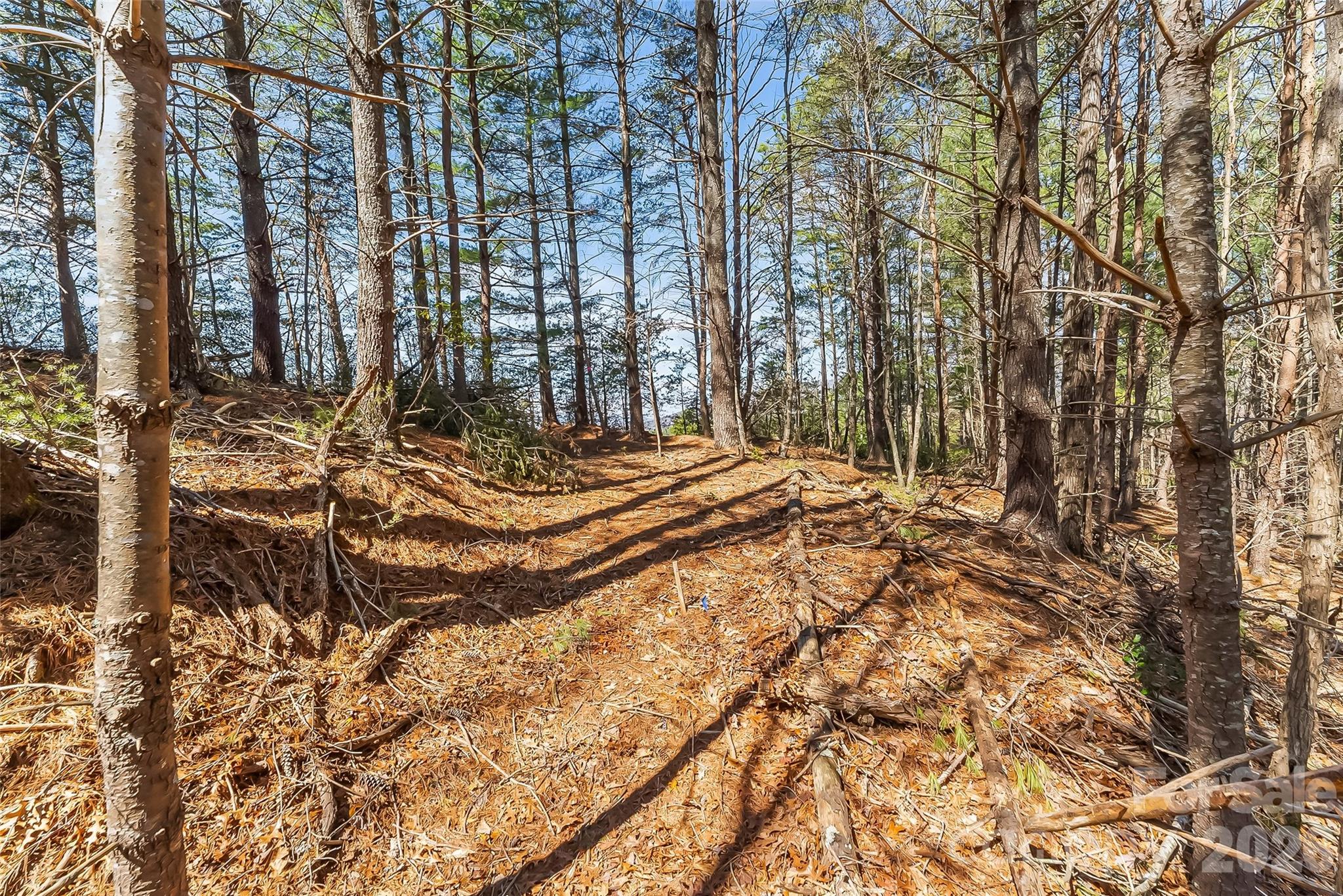 121 Lake Crest Drive Nebo NC 28761