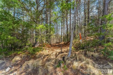 121 Lake Crest Drive Nebo NC 28761