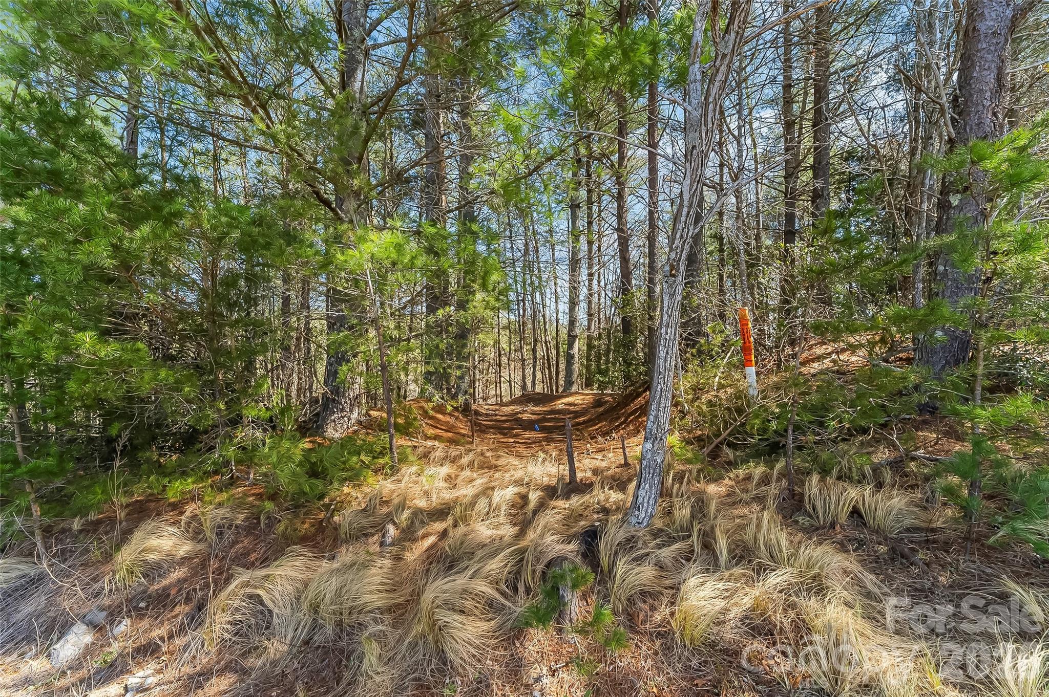 121 Lake Crest Drive Nebo NC 28761