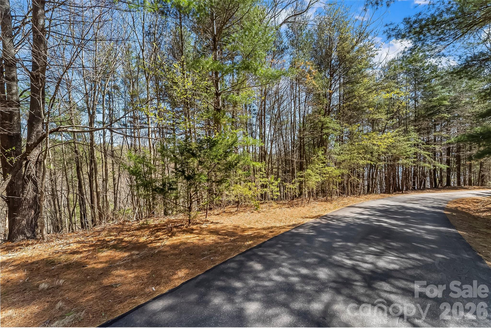 121 Lake Crest Drive Nebo NC 28761