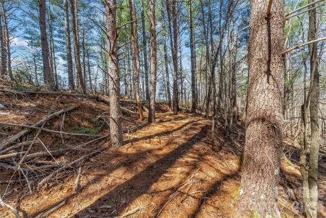 121 Lake Crest Drive Nebo NC 28761