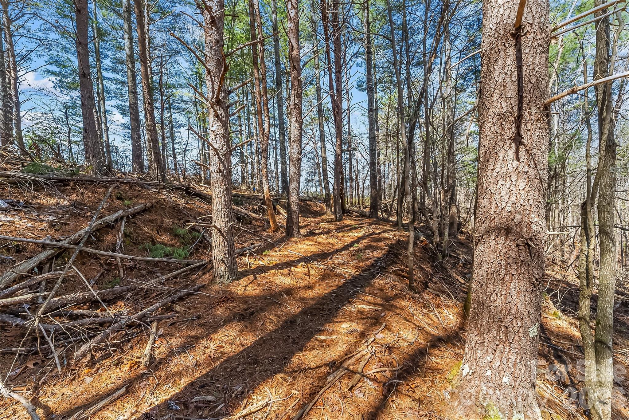 121 Lake Crest Drive Nebo NC 28761