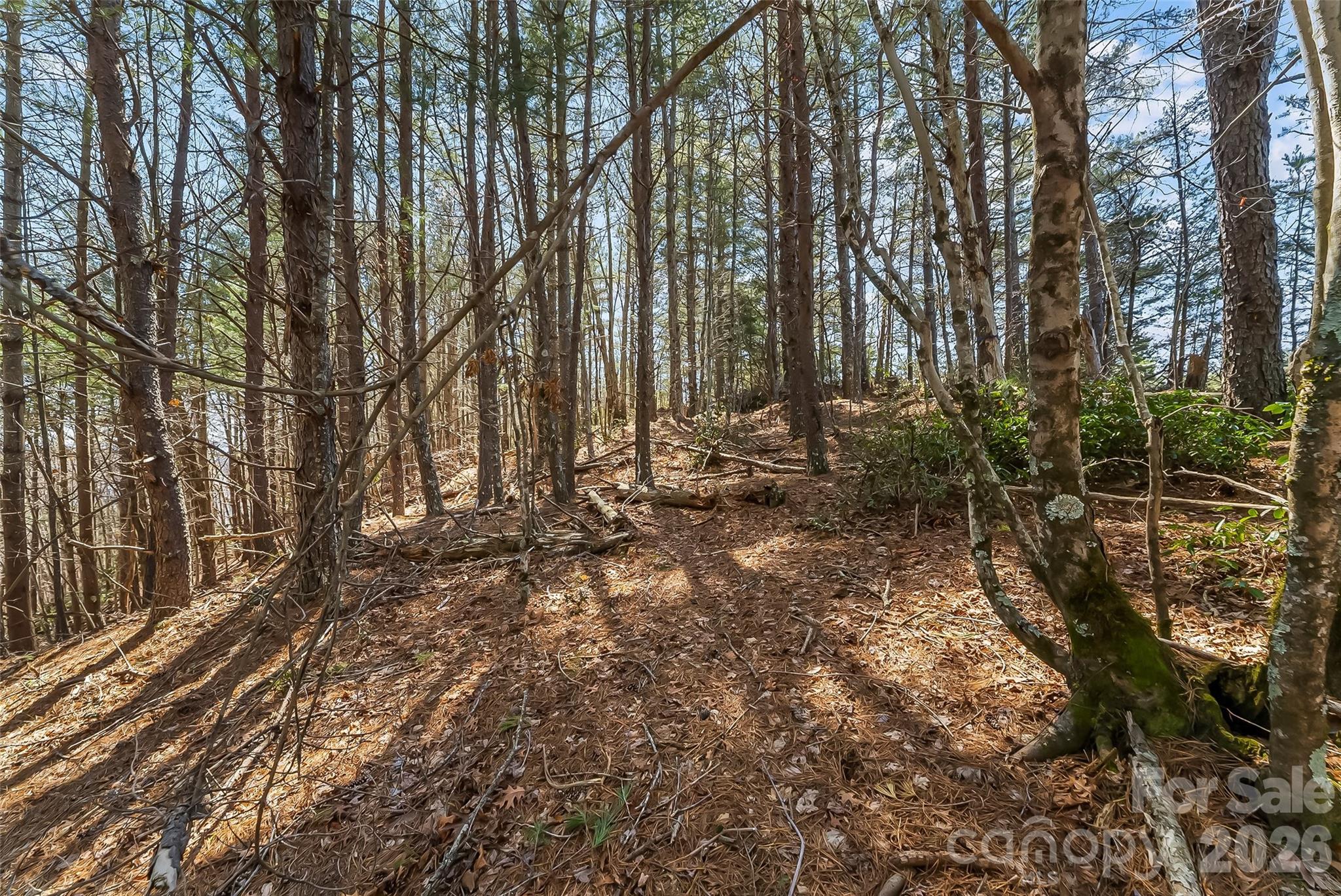 121 Lake Crest Drive Nebo NC 28761
