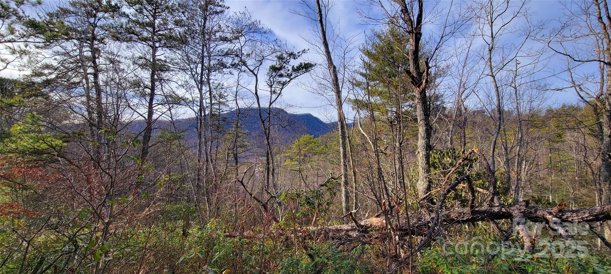 V/l Chickasaw Way Marion NC 28752