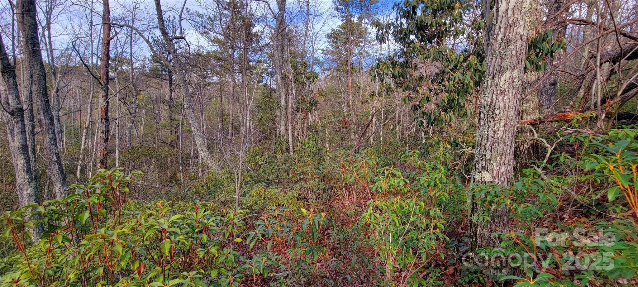 V/l Chickasaw Way Marion NC 28752